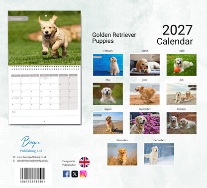 Golden Retriever Puppies Calendar 2027