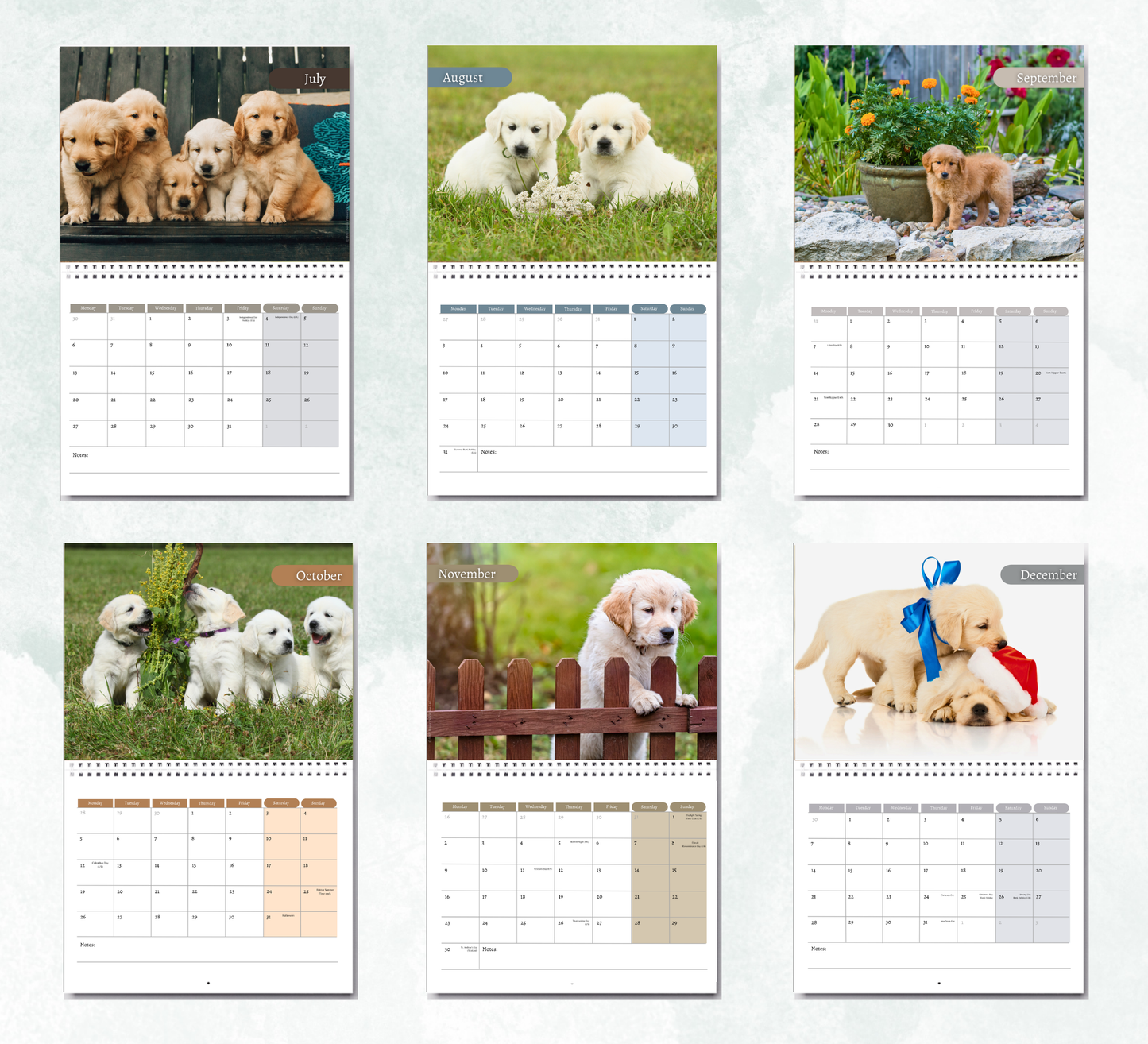 Golden Retriever Puppies Calendar 2027