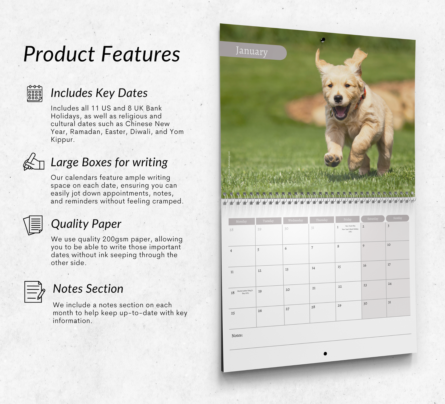 Golden Retriever Puppies Calendar 2027
