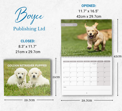Golden Retriever Puppies Calendar 2027