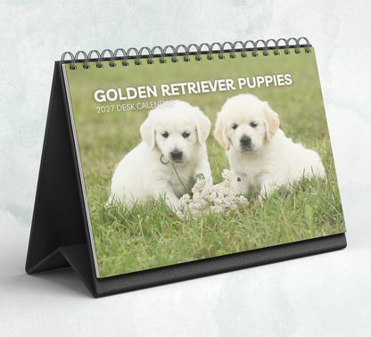 Golden Retriever Puppies Desk Calendar 2027-2028