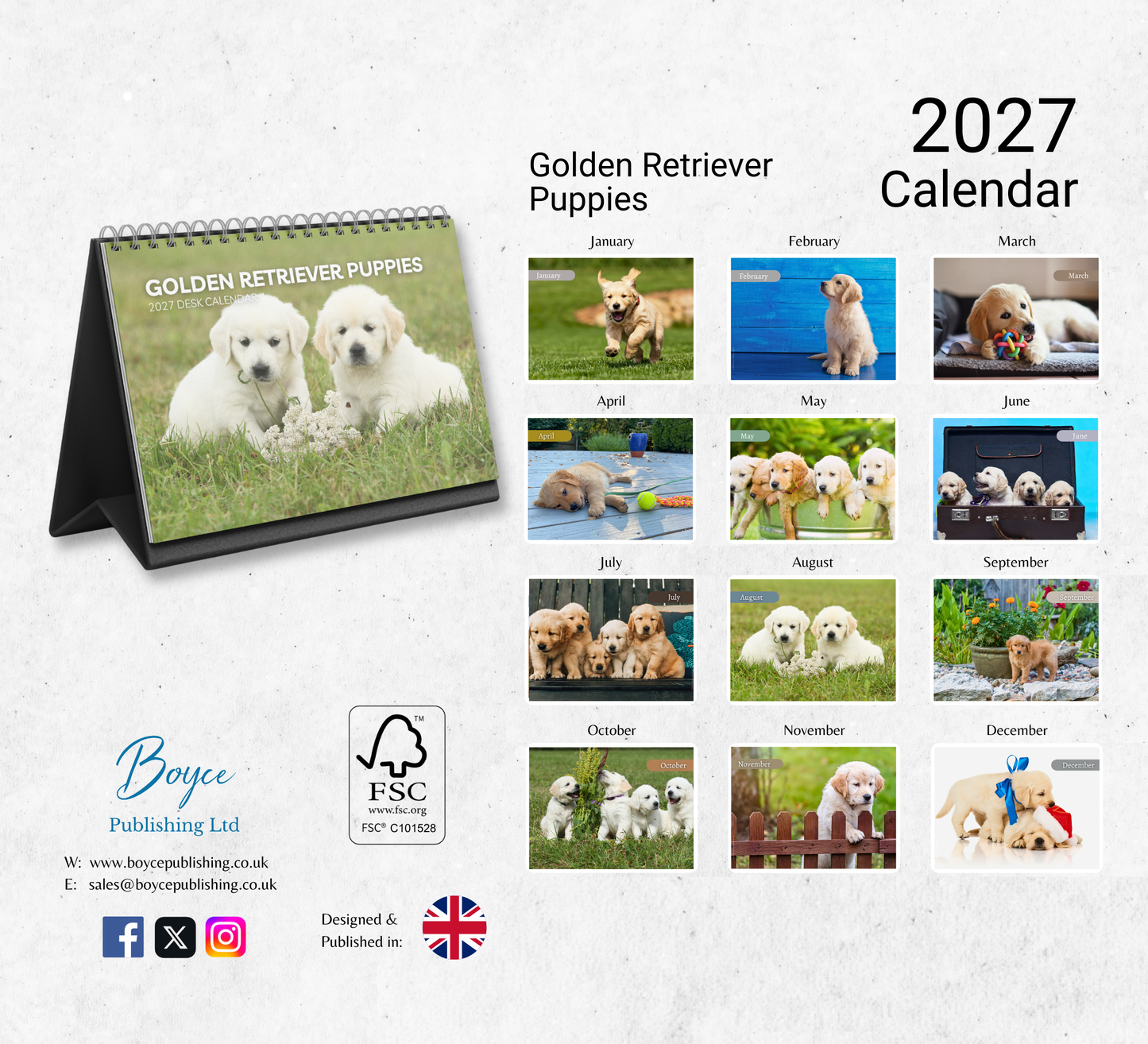 Golden Retriever Puppies Desk Calendar 2027-2028