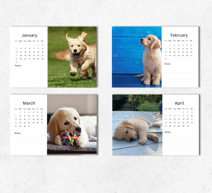 Golden Retriever Puppies Desk Calendar 2027-2028