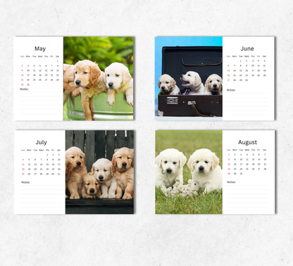 Golden Retriever Puppies Desk Calendar 2027-2028