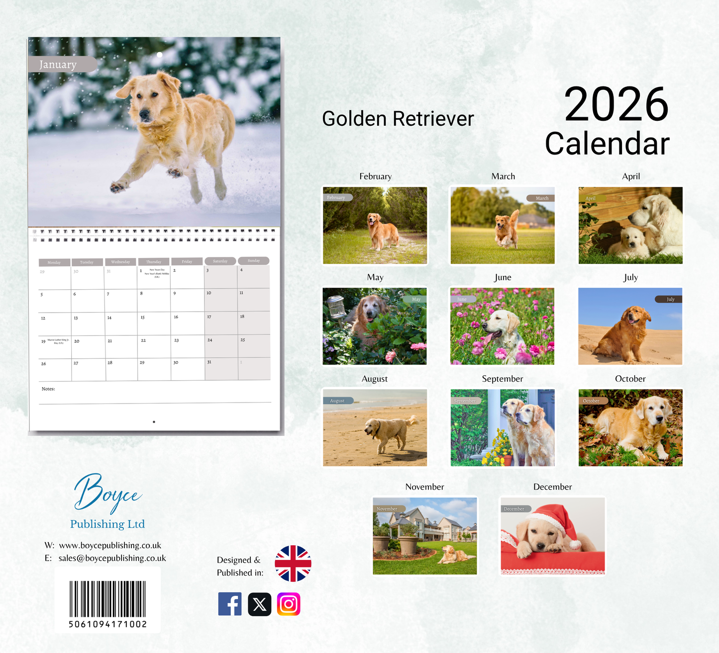 Golden Retriever Calendar 2026