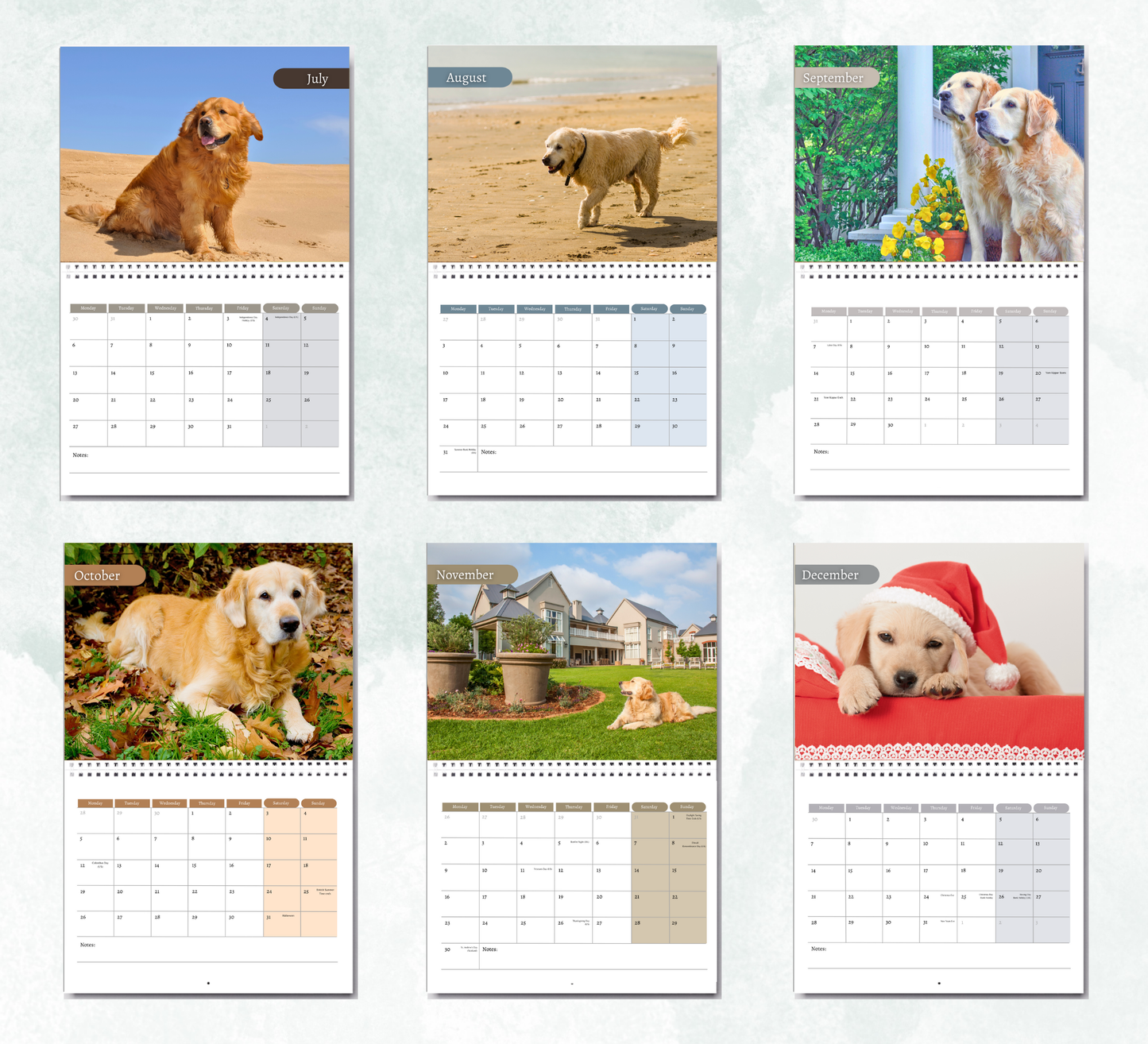 Golden Retriever Calendar 2026