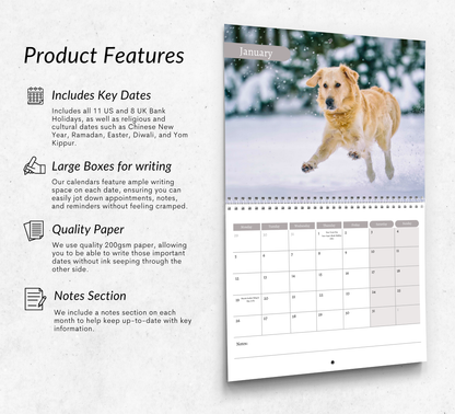 Golden Retriever Calendar 2026