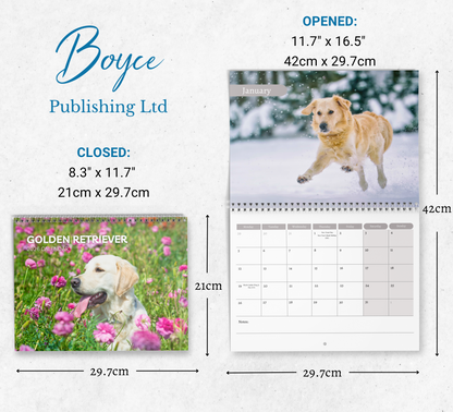 Golden Retriever Calendar 2026
