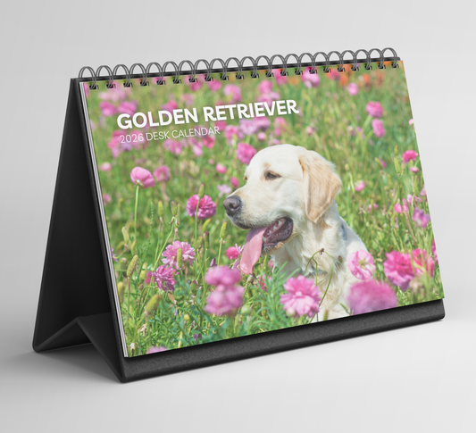 Golden Retriever Desk Calendar 2026-2027