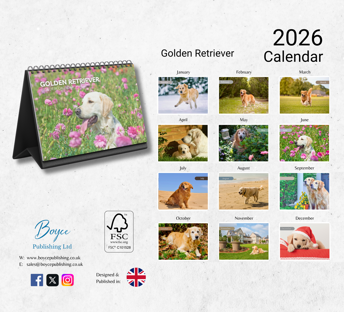 Golden Retriever Desk Calendar 2026-2027