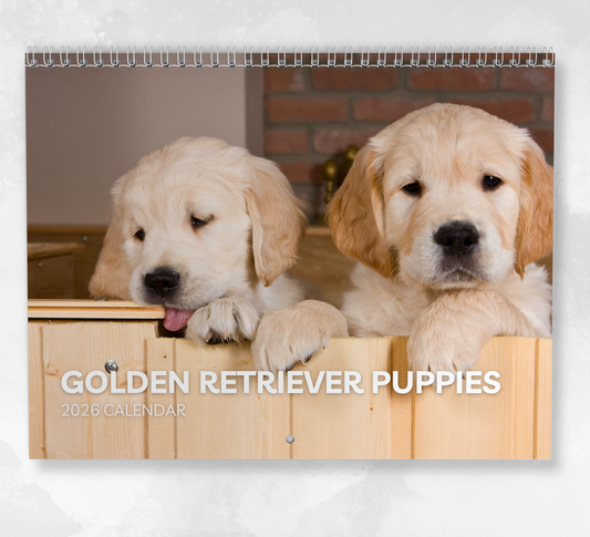 Golden Retriever Puppies Calendar 2026