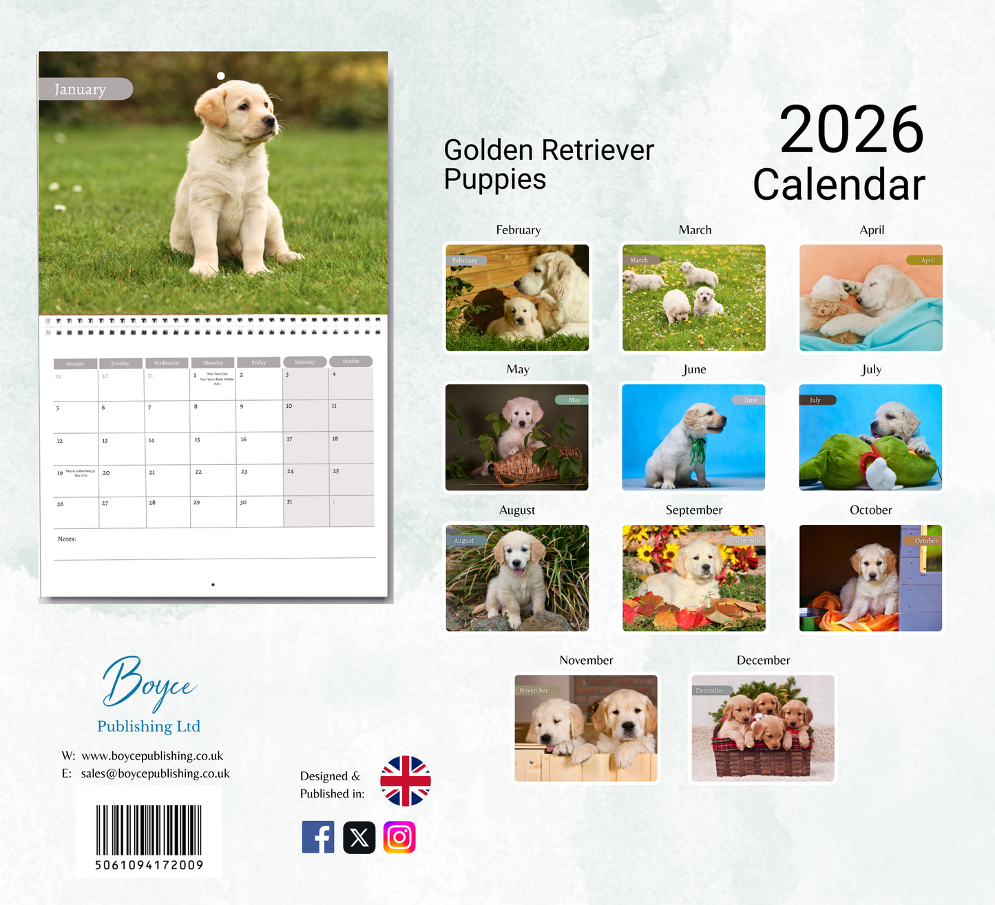 Golden Retriever Puppies Calendar 2026