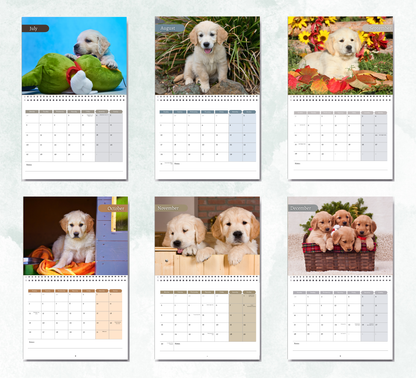 Golden Retriever Puppies Calendar 2026