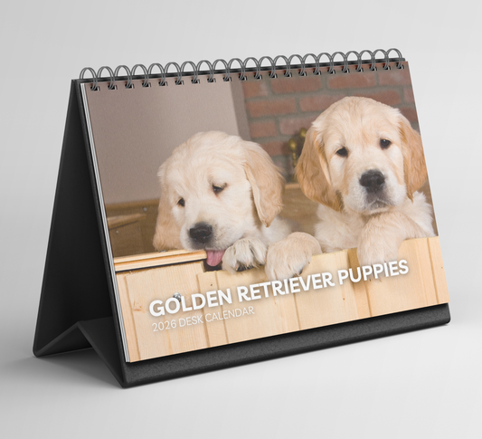 Golden Retriever Puppies Desk Calendar 2026-2027