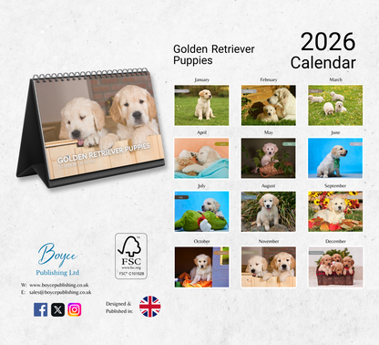 Golden Retriever Puppies Desk Calendar 2026-2027