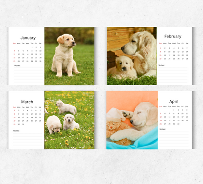 Golden Retriever Puppies Desk Calendar 2026-2027