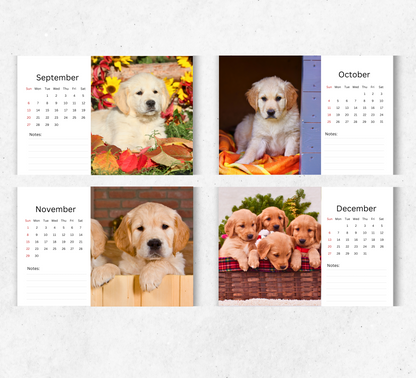 Golden Retriever Puppies Desk Calendar 2026-2027