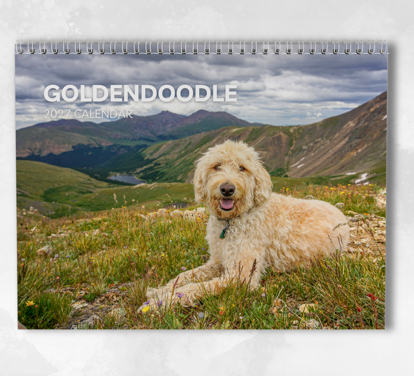 Goldendoodle Calendar 2027