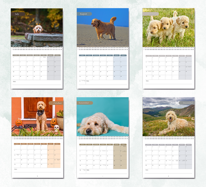 Goldendoodle Calendar 2027