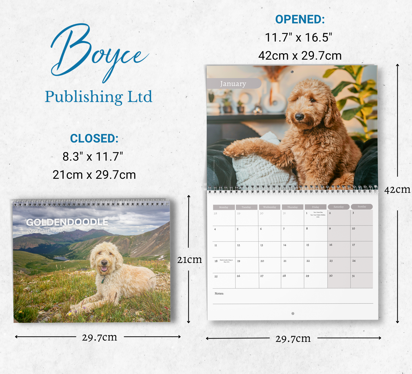 Goldendoodle Calendar 2027