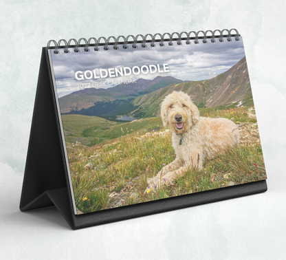 Goldendoodle Desk Calendar 2027-2028