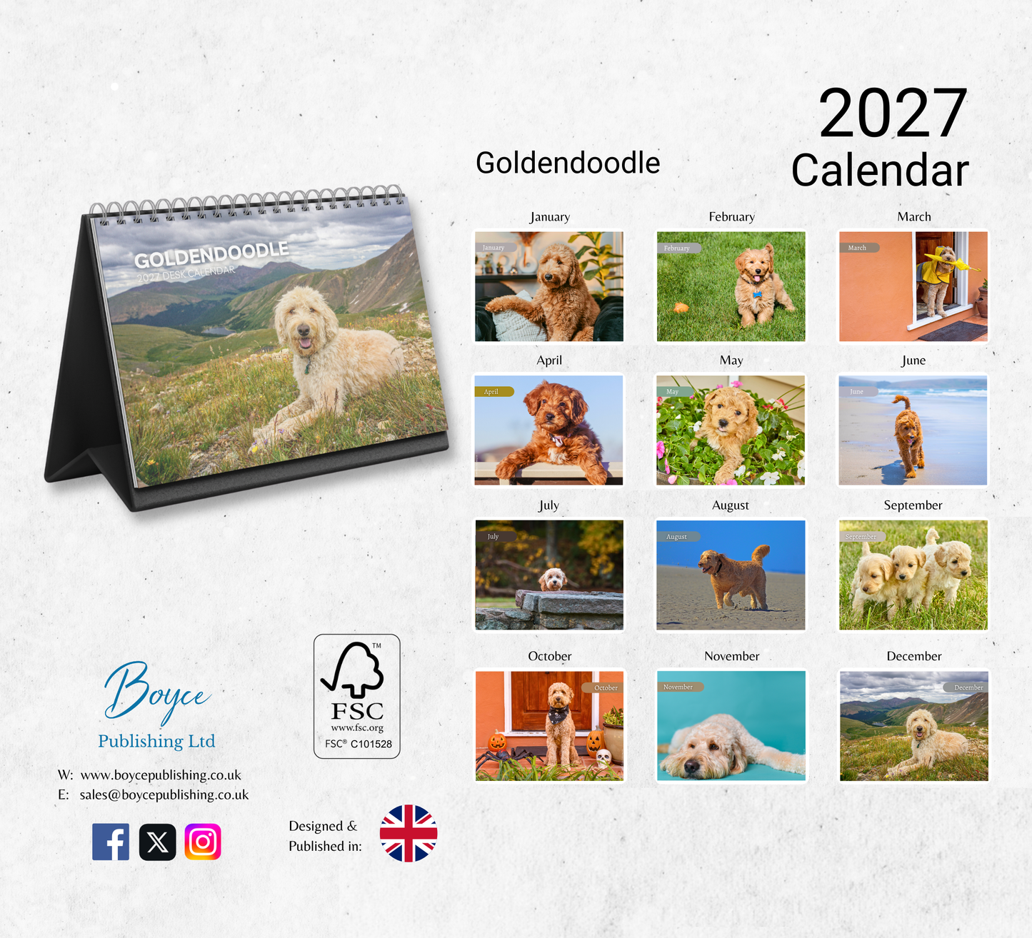 Goldendoodle Desk Calendar 2027-2028