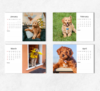 Goldendoodle Desk Calendar 2027-2028
