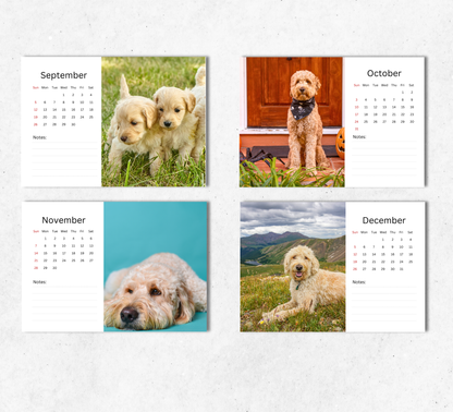 Goldendoodle Desk Calendar 2027-2028