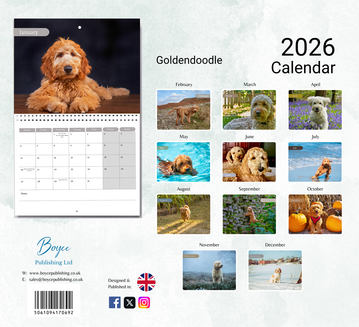 Goldendoodle Calendar 2026