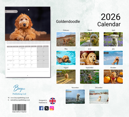 Goldendoodle Calendar 2026