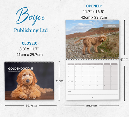 Goldendoodle Calendar 2026