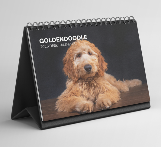 Goldendoodle Desk Calendar 2026-2027