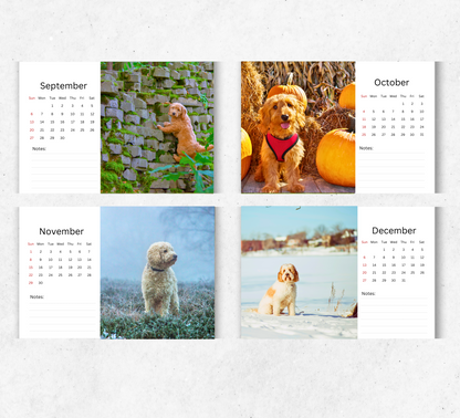 Goldendoodle Desk Calendar 2026-2027