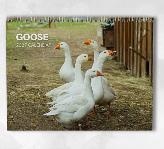 Goose Calendar 2027
