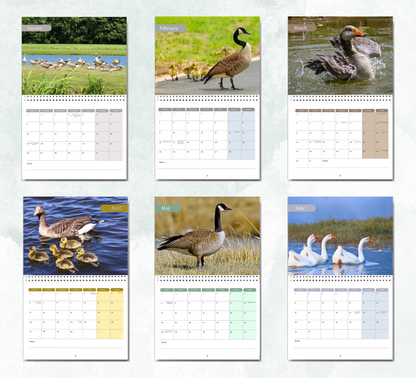 Goose Calendar 2027