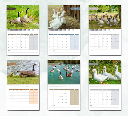 Goose Calendar 2027