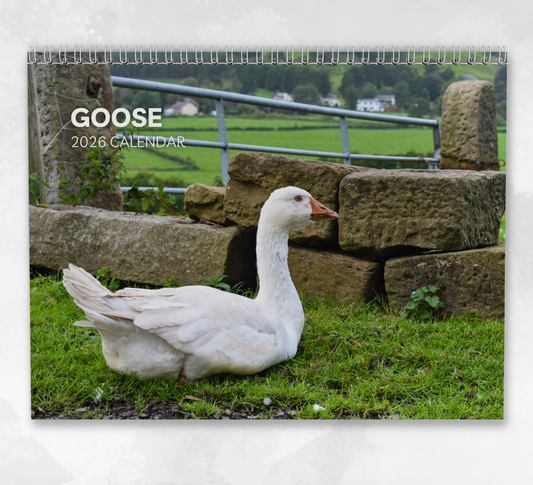 Goose Calendar 2026