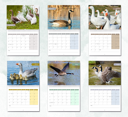 Goose Calendar 2026