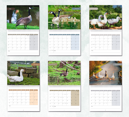 Goose Calendar 2026