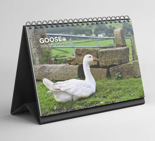 Goose Desk Calendar 2026-2027