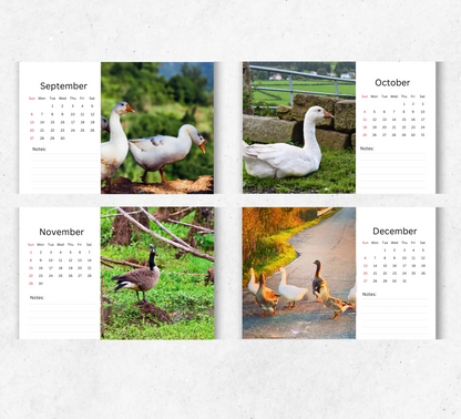 Goose Desk Calendar 2026-2027
