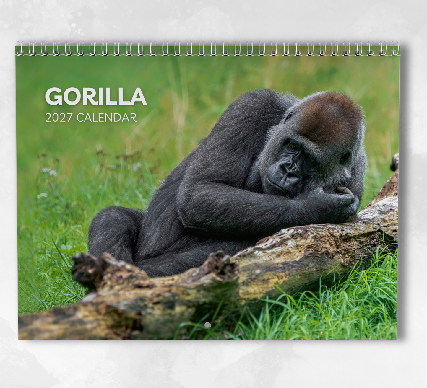 Gorilla Calendar 2027