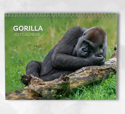 Gorilla Calendar 2027