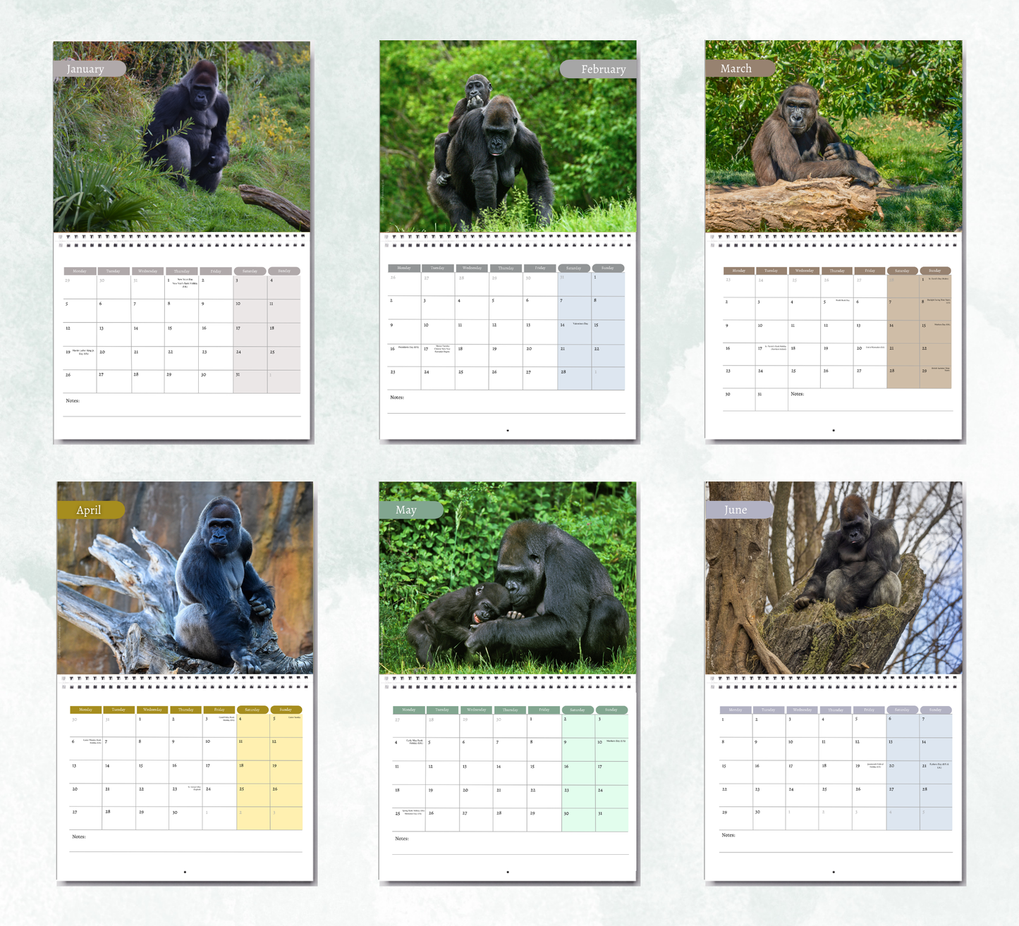 Gorilla Calendar 2027