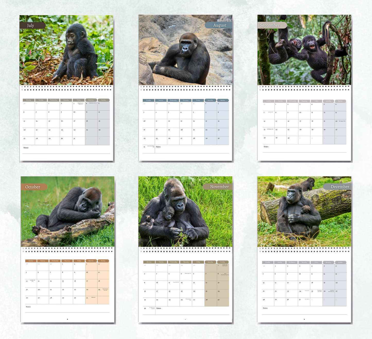 Gorilla Calendar 2027