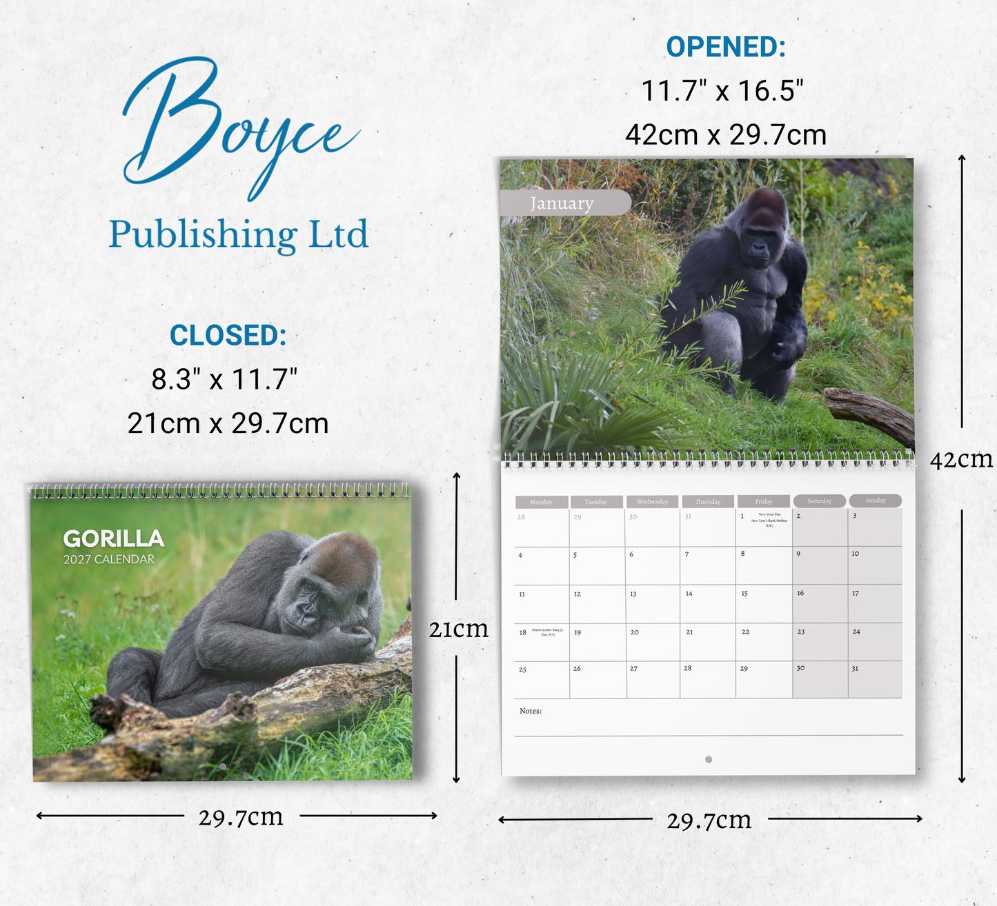 Gorilla Calendar 2027