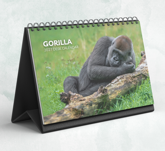 Gorilla Desk Calendar 2027-2028
