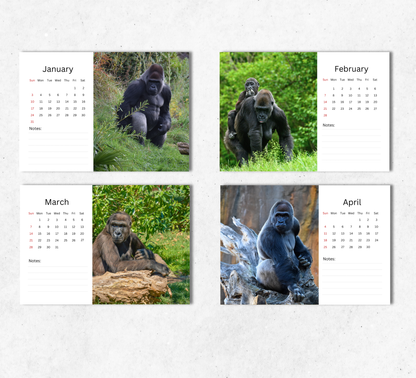 Gorilla Desk Calendar 2027-2028