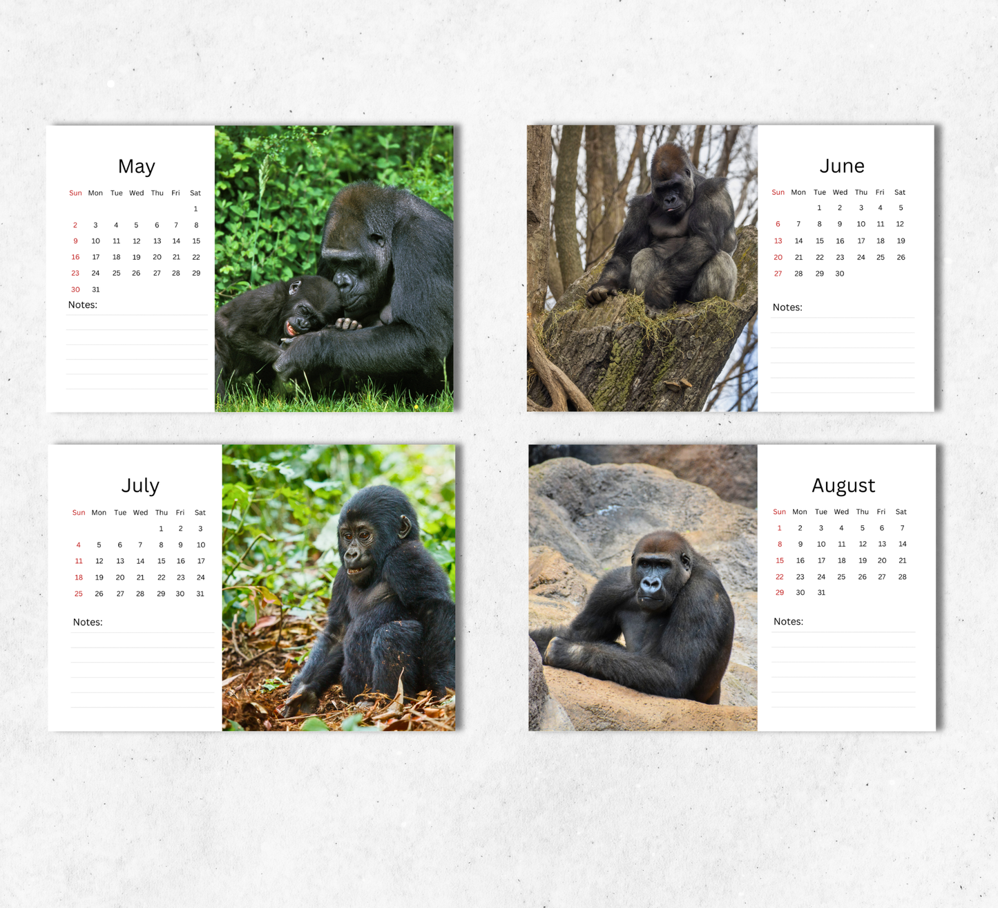 Gorilla Desk Calendar 2027-2028