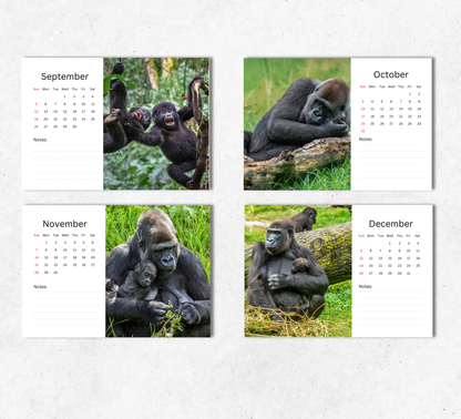 Gorilla Desk Calendar 2027-2028
